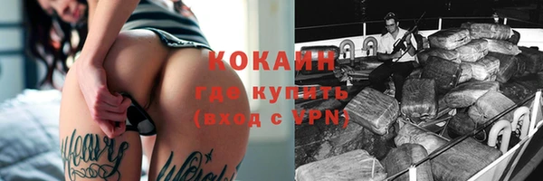 твердый Касимов