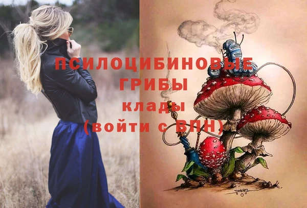 твердый Касимов