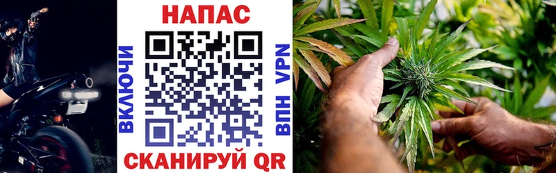 Марихуана Ganja Купить закладки Тара